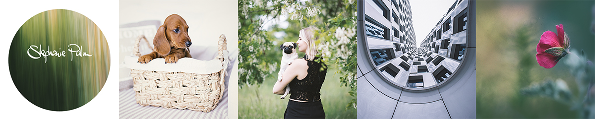 Stephanie_Palm_Fotografie_Logo